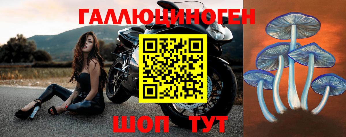 Псилоцибиновые грибы GOLDEN TEACHER Лыткарино