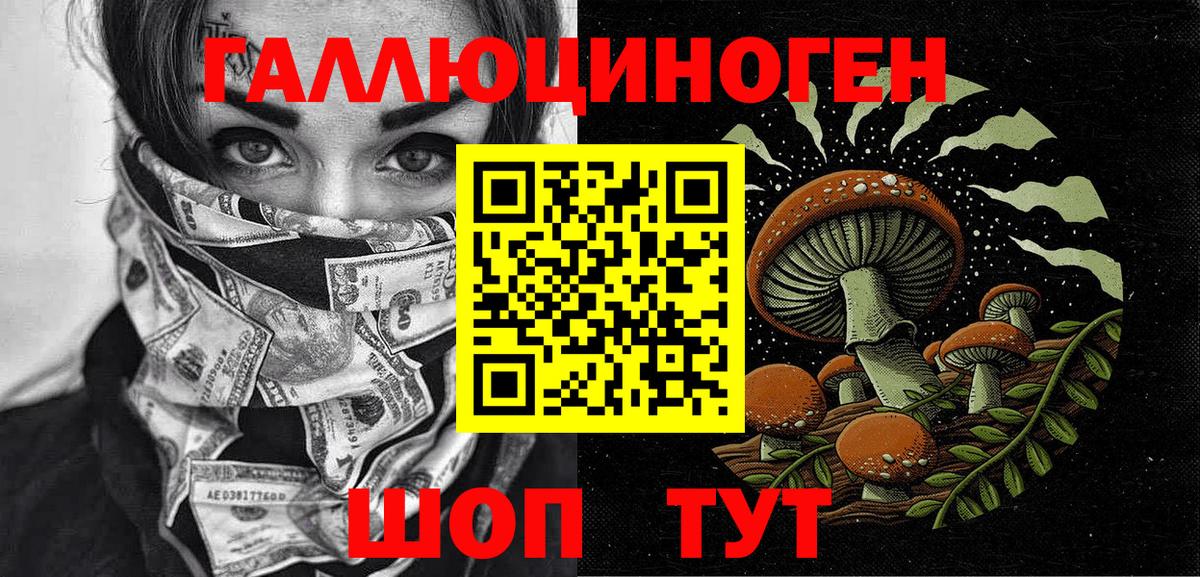 Псилоцибиновые грибы GOLDEN TEACHER  магазин    Лыткарино  Вход с VPN 